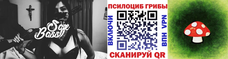 закладки  Северодвинск  Галлюциногенные грибы Psilocybine cubensis 