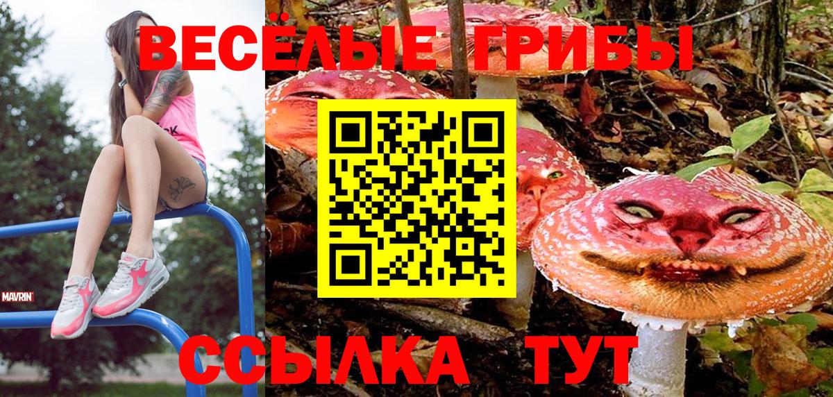 Галлюциногенные грибы прущие грибы  Вход с VPN  Псилоцибиновые грибы Psilocybine cubensis  Северодвинск 