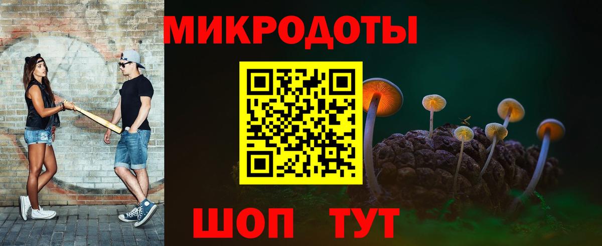 Галлюциногенные грибы Psilocybine cubensis Северодвинск