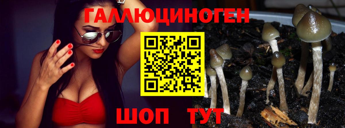 Псилоцибиновые грибы Magic Shrooms Северодвинск