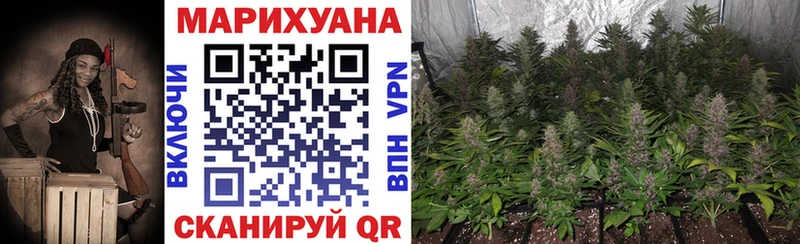 купить закладку  Северодвинск  мега ССЫЛКА  Канабис марихуана 